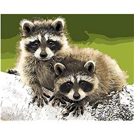Gaira Raccoons M991915 - Painting by Numbers