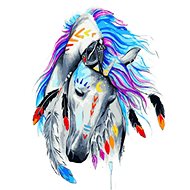 Gaira Horse of the Indians M991970 - Painting by Numbers