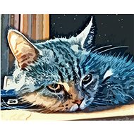Gaira Cat M992012 - Painting by Numbers