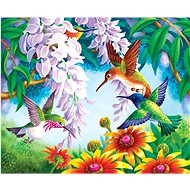 Gaira Hummingbirds M992118 - Painting by Numbers