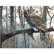 Gaira Sova M992151 - Painting by Numbers