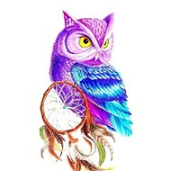 Gaira Dreamcatcher M992202 - Painting by Numbers