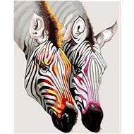 Zebra Gaira M992264 - Painting by Numbers