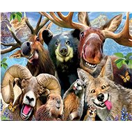 Gaira Animals M992445 - Painting by Numbers