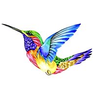 Gaira Hummingbird M992562 - Painting by Numbers