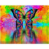Gaira Butterfly M992170 - Painting by Numbers