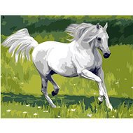 Gaira Biely kôň M1285 - Maľovanie podľa čísel