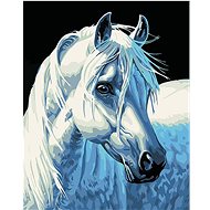 Gaira White Horse M1387 - Painting by Numbers