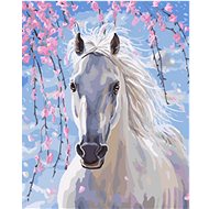 Gaira White Horse M991642 - Painting by Numbers