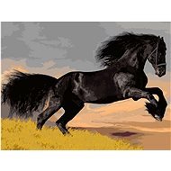 Gaira Čierny kôň M1498 - Maľovanie podľa čísel