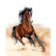 Gaira Cválajúci kôň M1182 - Maľovanie podľa čísel