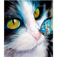Gaira Cat and butterfly M169YH - Painting by Numbers