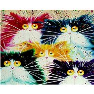 Gaira Cats M1139 - Painting by Numbers
