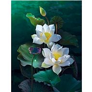Gaira Lilies M1019 - Painting by Numbers