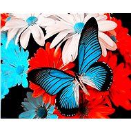 Gaira Butterfly M1292YK - Painting by Numbers