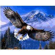 Gaira Eagle M1627 - Painting by Numbers