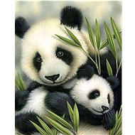 Gaira Pandy M991410 - Painting by Numbers