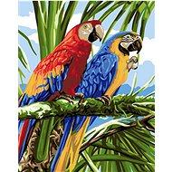 Gaira Parrots M1264 - Painting by Numbers