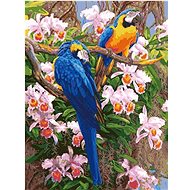 Gaira Parrots M1337 - Painting by Numbers