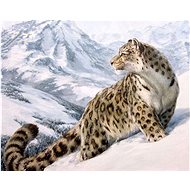 Gaira Snow Leopard M1061 - Painting by Numbers