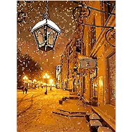 Gaira Silent Street M1658 - Painting by Numbers