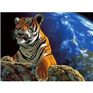 Gaira Tiger M1284 - Painting by Numbers