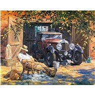 Gaira Veteran M1166 - Painting by Numbers