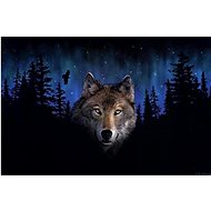 Gaira Wolf M1441 - Painting by Numbers