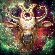 Gaira Taurus Zodiac M425 - Painting by Numbers