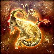 Gaira Capricorn Zodiac M428 - Painting by Numbers