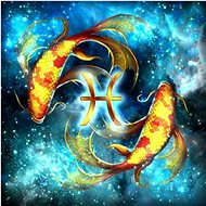 Gaira Zodiac Pisces M4213 - Painting by Numbers
