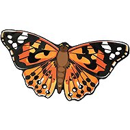 Insect Lore Butterfly wings for back - Costume Accessory