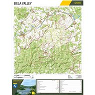 DayZ Livonia Printed Map - Poster