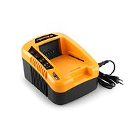 RIWALL PRO Charger 40V RAC 240 - Cordless Tool Charger