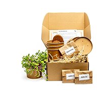 GARDNERS Microgreens set "Grow your own", S - Seeds