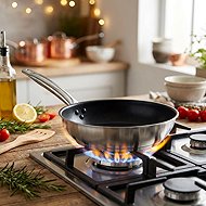 Pujadas Stainless steel pan Ergos Excalibur 20 cm - Pan