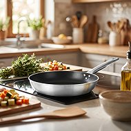 Pujadas Non-stick frying pan Ergos 32 cm - Pan