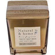 H&L Scented candle in glass, wooden lid, 10 cm, grey, forest breeze scent - Candle