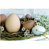 GOBA Plastic Easter Egg Placemats 1000628 - Placemat