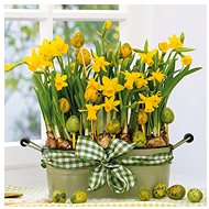 GOBA Paper Napkins Daffodils and Eggs 3400085 - Paper Napkins