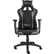 Genesis NITRO 440 schwarz-grau - Gaming-Stuhl