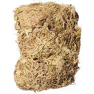 Gerd Adolph - Sphagnum Shop Plantbee Chilean peat moss, Sphagnum Moss 100 g - Substrate