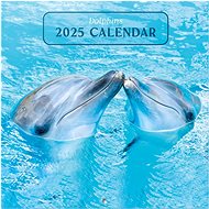 Grupo Erik Dolphins - wall calender - Wall Calendar