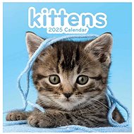 Grupo Erik Cats - wall calender - Wall Calendar