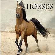 Grupo Erik Horses - wall calender - Wall Calendar
