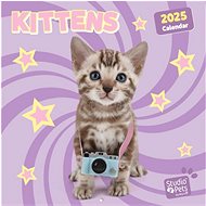 Grupo Erik Crazy Kittens - wall calender - Wall Calendar