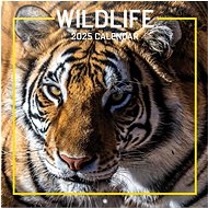 Grupo Erik Wild Life - wall calender - Wall Calendar