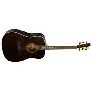 Gilmour Antique - Acoustic Guitar