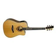 Gilmour Woody WN CEQ - Acoustic-Electric Guitar