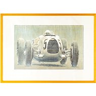 Petr Ptáček - Audi 55 - Obraz